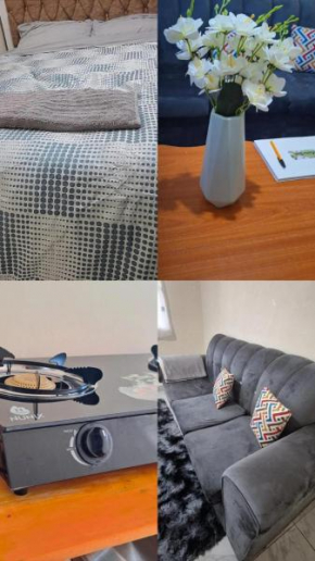 Humble Homes 1 bedroom Thika Town CBD access to Netflix,Fridge,wifi